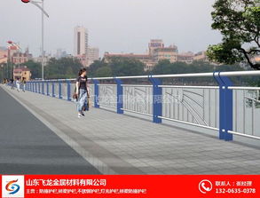 聊城飛龍橋梁護(hù)欄公司 鑄就道路安全屏障，匠心打造交通安全設(shè)施工程